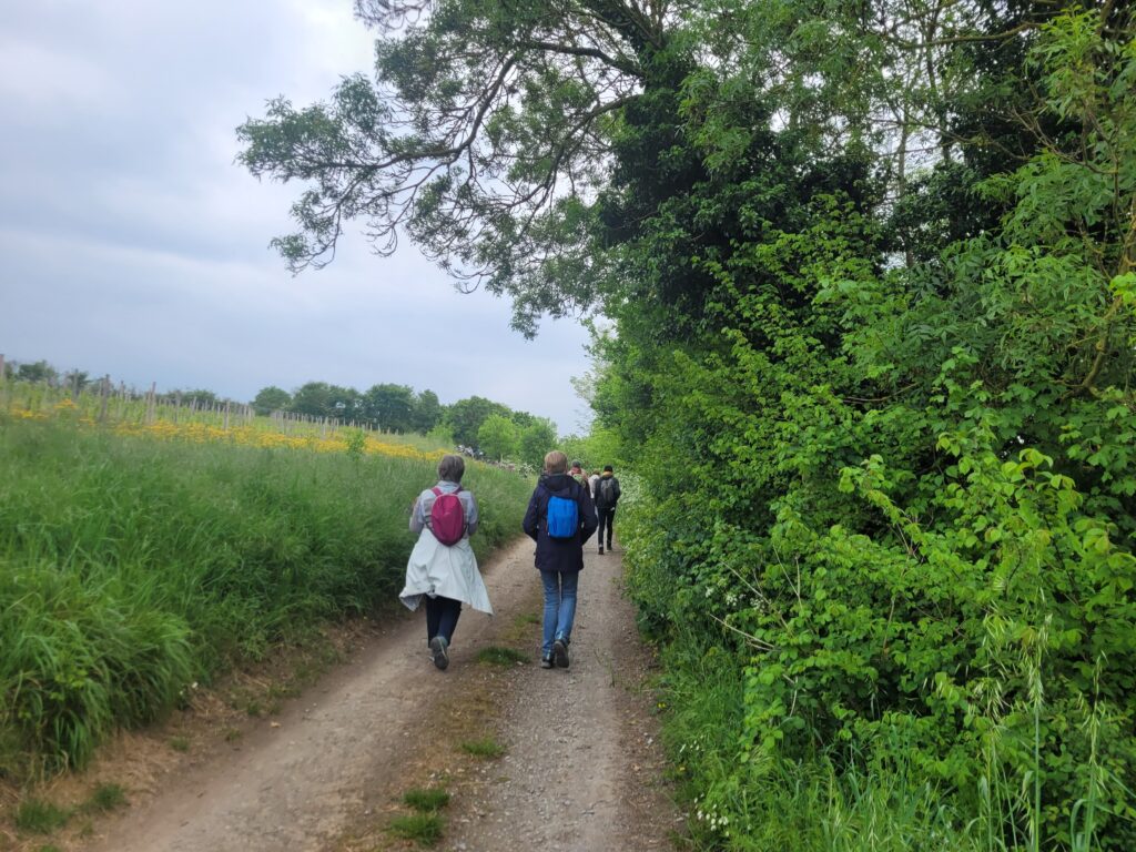 A hike in the heart of the vines to discover the Delaunay domain