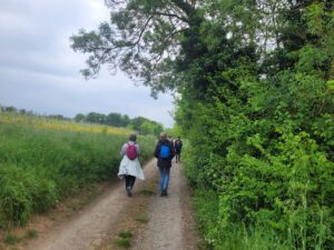 Hike on rural path surrounded by greenery.