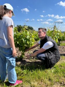 Enseignement de la culture de la vigne en extérieur.