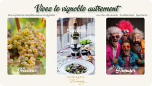 Vignoble, dégustation gastronomique et divertissement coloré.